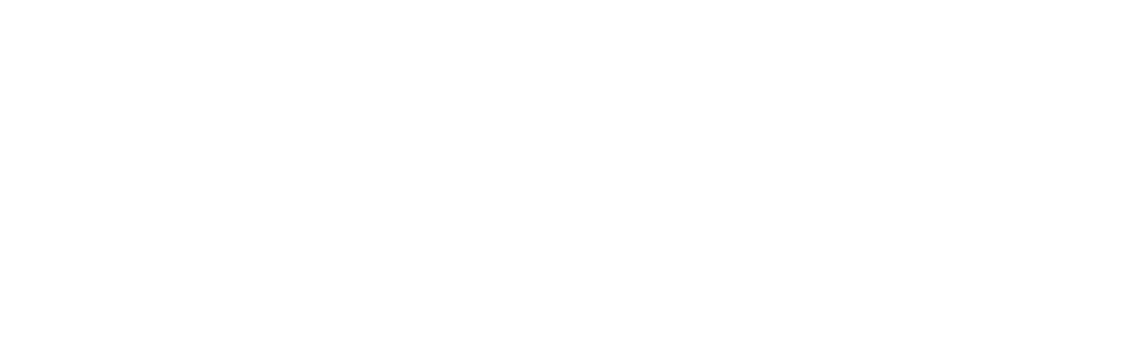 Copy of sp-logo-RGB NEG (1)